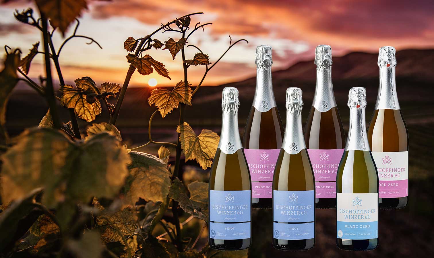 Sekt-Genuss aus Bischoffingen