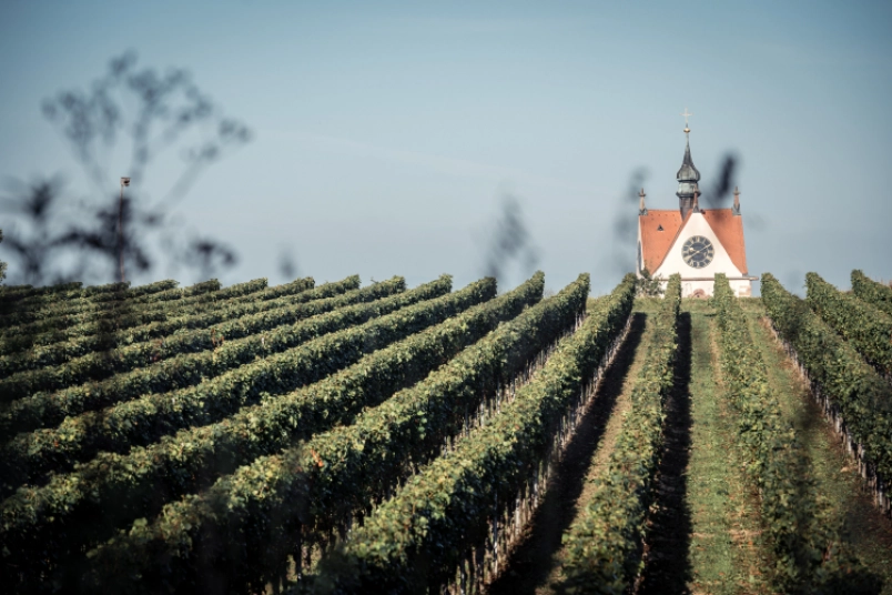 Das Tor zum Kaiserstuhl 