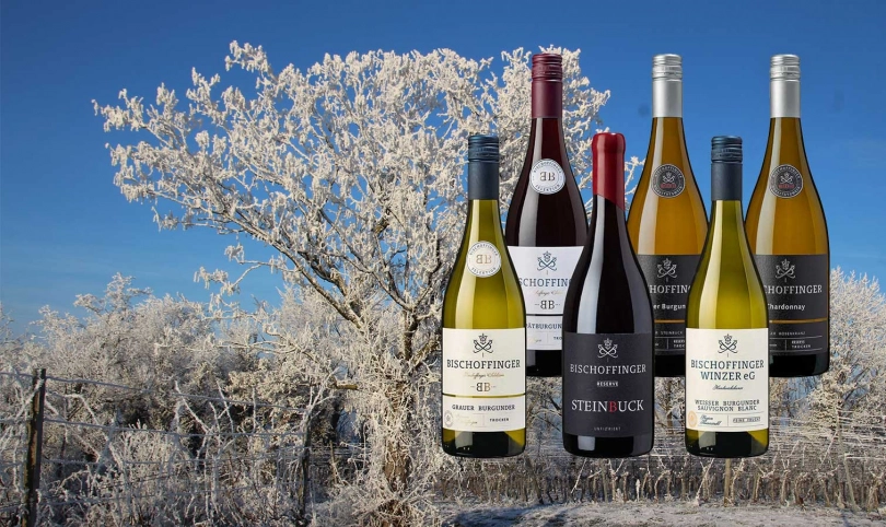 GOLDSTÜCKE im Paket