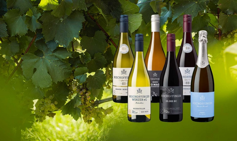 WINZERGLÜCK im Paket